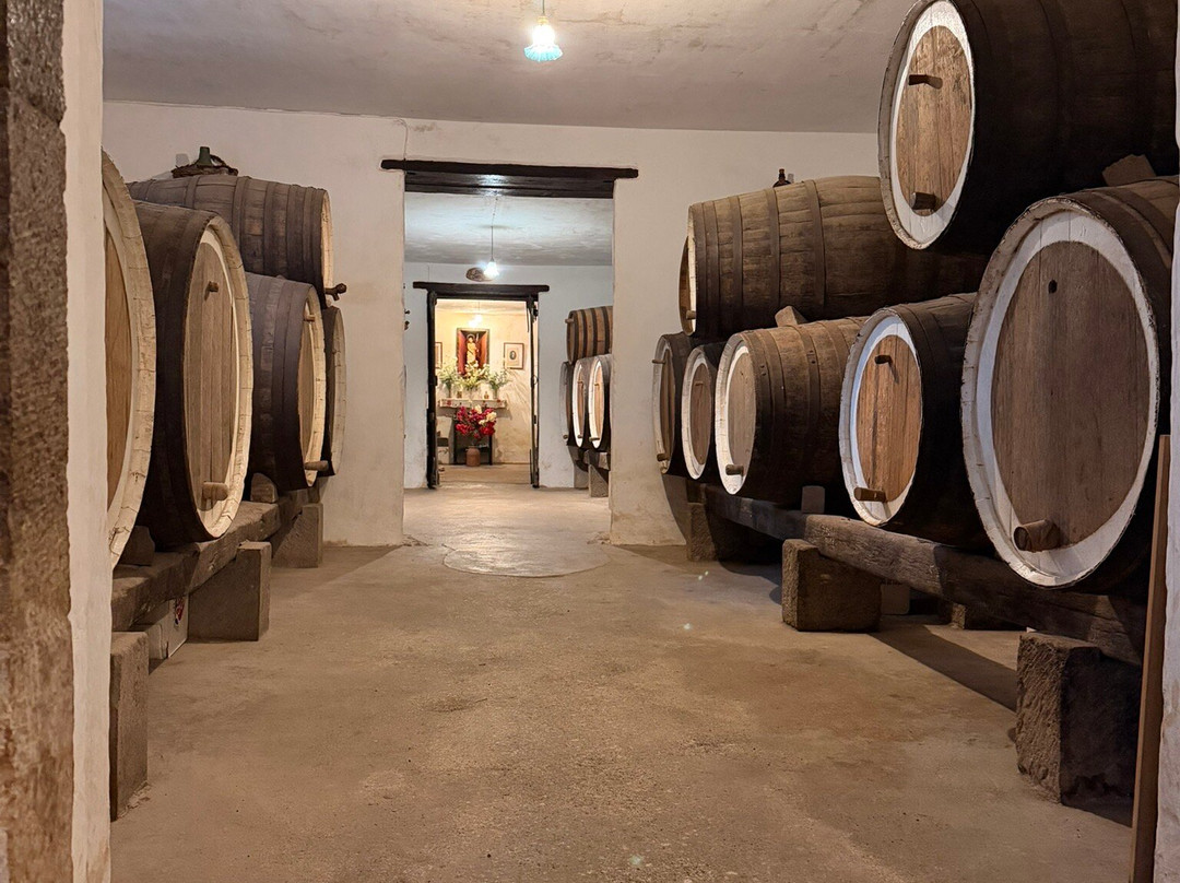 Bodega San Juan - Museo del Vino-Santa Brigida必去景点