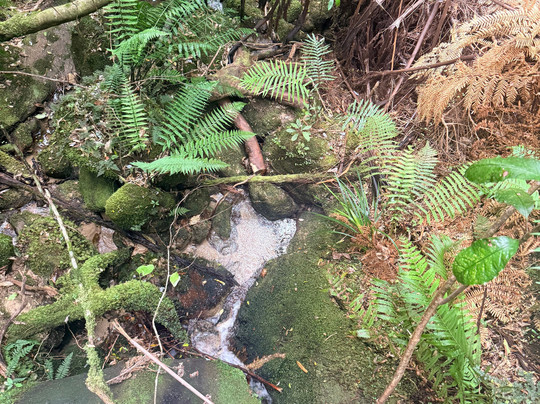 Abel Tasman Guides-玛拉豪必去景点