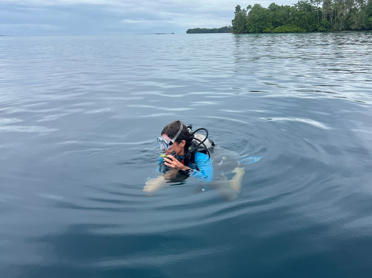 Dive Gizo-Gizo必去景点