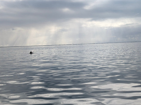 Biscayne National Park Institute-霍姆斯特德必去景点