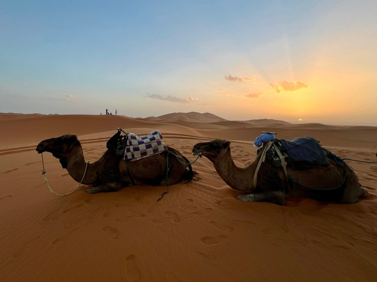 Sunshine Morocco Tours-马拉喀什必去景点