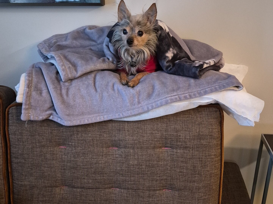 埃德蒙顿舍伍德帕克万豪TownePlace套房酒店主图