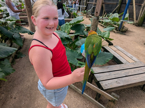 Parotte Ville Bird Sanctuary-圣马丁岛必去景点