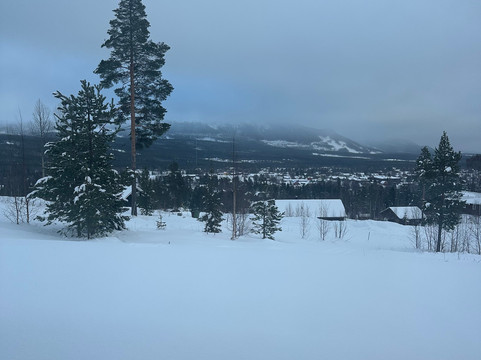 Bjornrike-Vemdalen必去景点