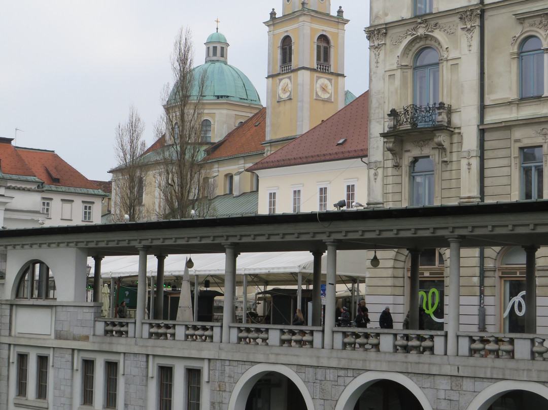 River Ljubljanica Kanal-卢布尔雅那必去景点