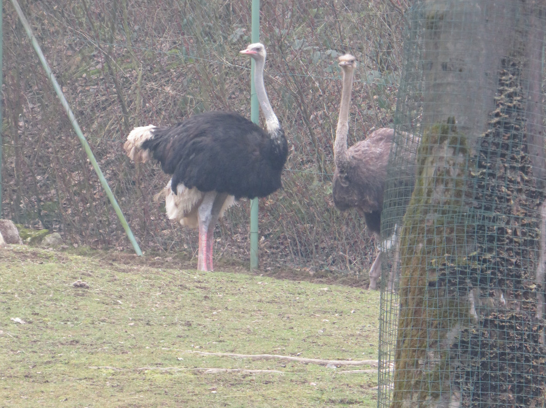 Zoo Ljubljana-卢布尔雅那必去景点