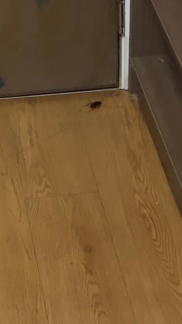 马瑙斯诺富特酒店-官方