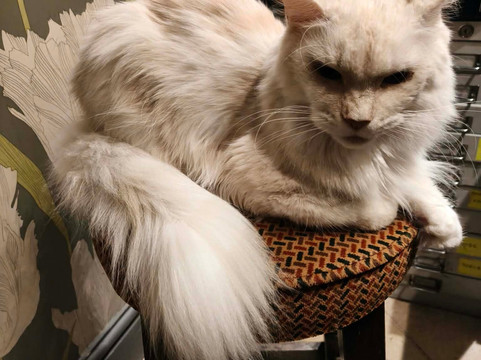 The Coasting Pilot Hotel主图