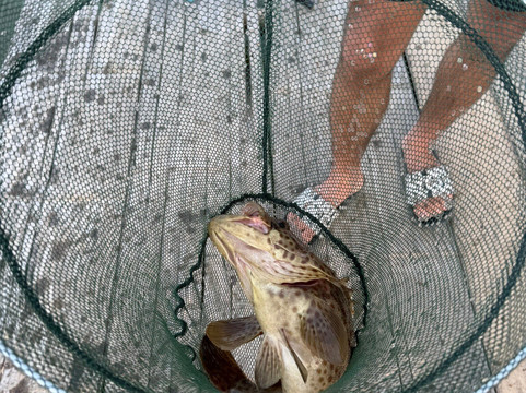 Organic Family Farm And Fishing