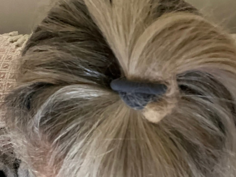 Serenity Loves-彼得伯勒必去景点