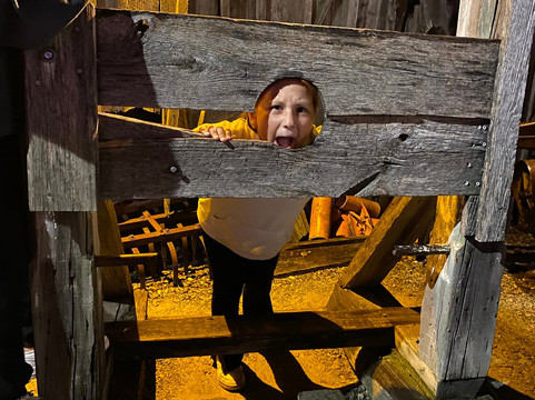 Field of Screams-Mountville必去景点