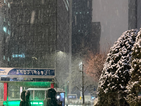 Tagy Travel Korea-首尔必去景点