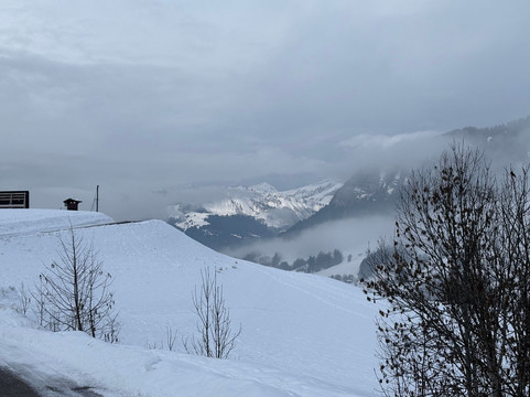 伯纳德酒店主图