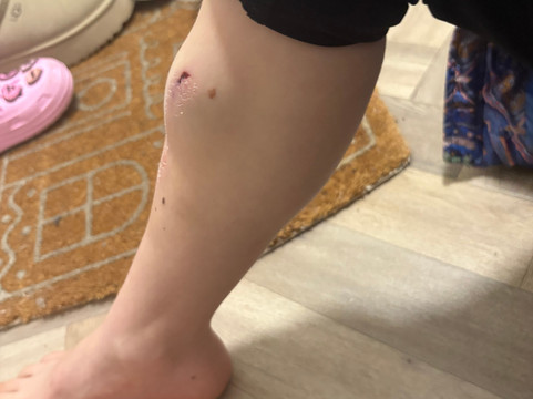 Gravity Trampoline Parks-梅德斯通必去景点