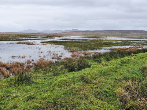 RSPB Loch Gruinart Reserve-Bridgend必去景点