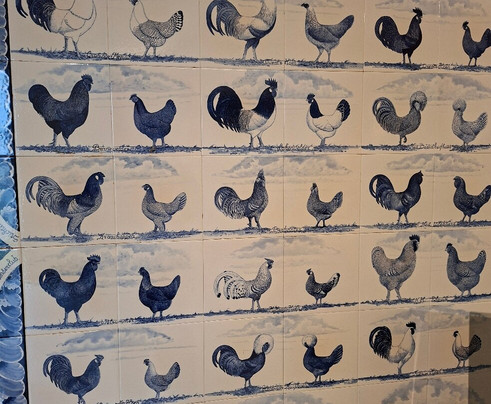 Dutch Poultry Museum-Barneveld必去景点