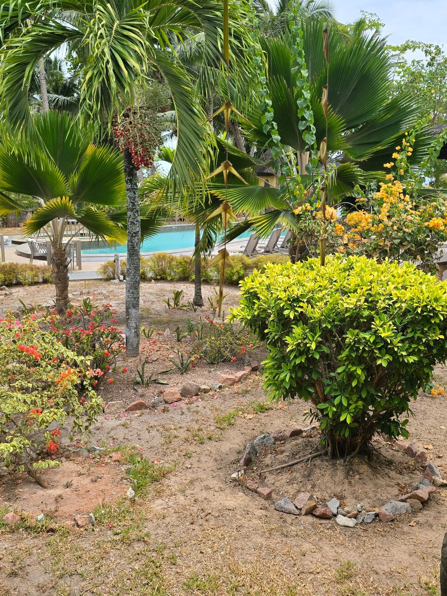 卡斯特罗海滩酒店-官方