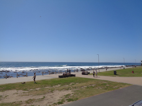 Sea Point Beach-Sea Point必去景点