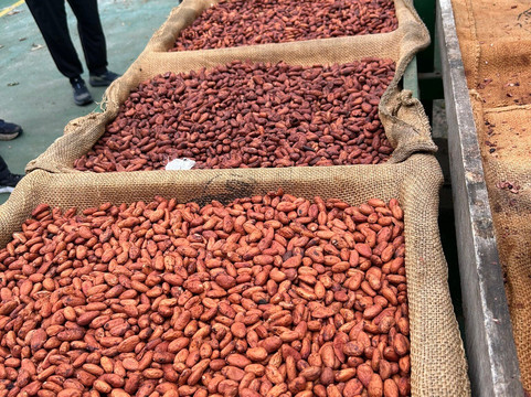 MonteTours-蒙特沃德必去景点