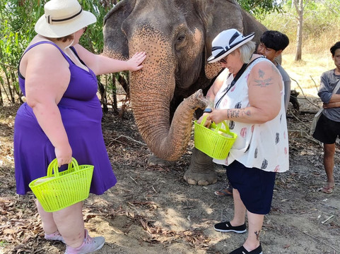 The Lake Phuket Elephant Home-Thep Krasatti必去景点