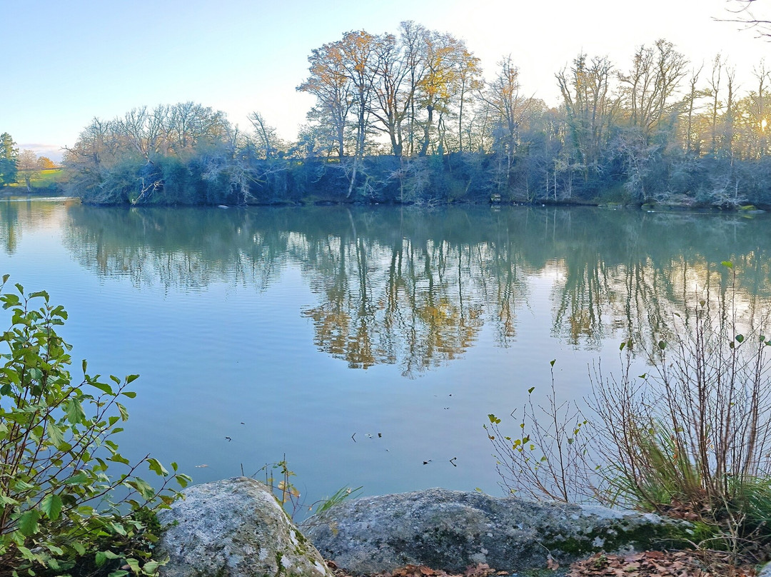 Etang de Bois Pouvreau et son chaos granitique-Menigoute必去景点
