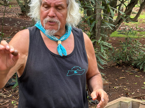 Purdy's All-Natural Macadamia Nut Farm-摩洛凯岛必去景点