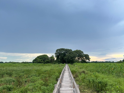 O Pantaneiro Tour-波科内必去景点
