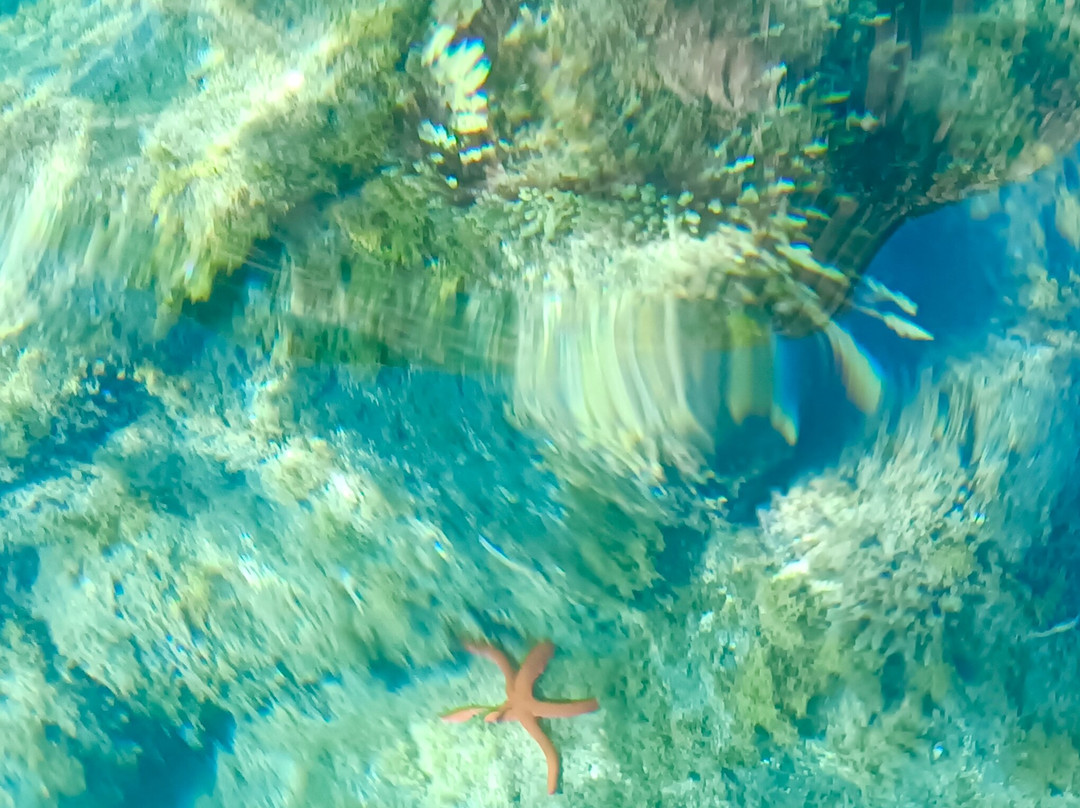 E-kayakcanarias-Tarajalejo必去景点