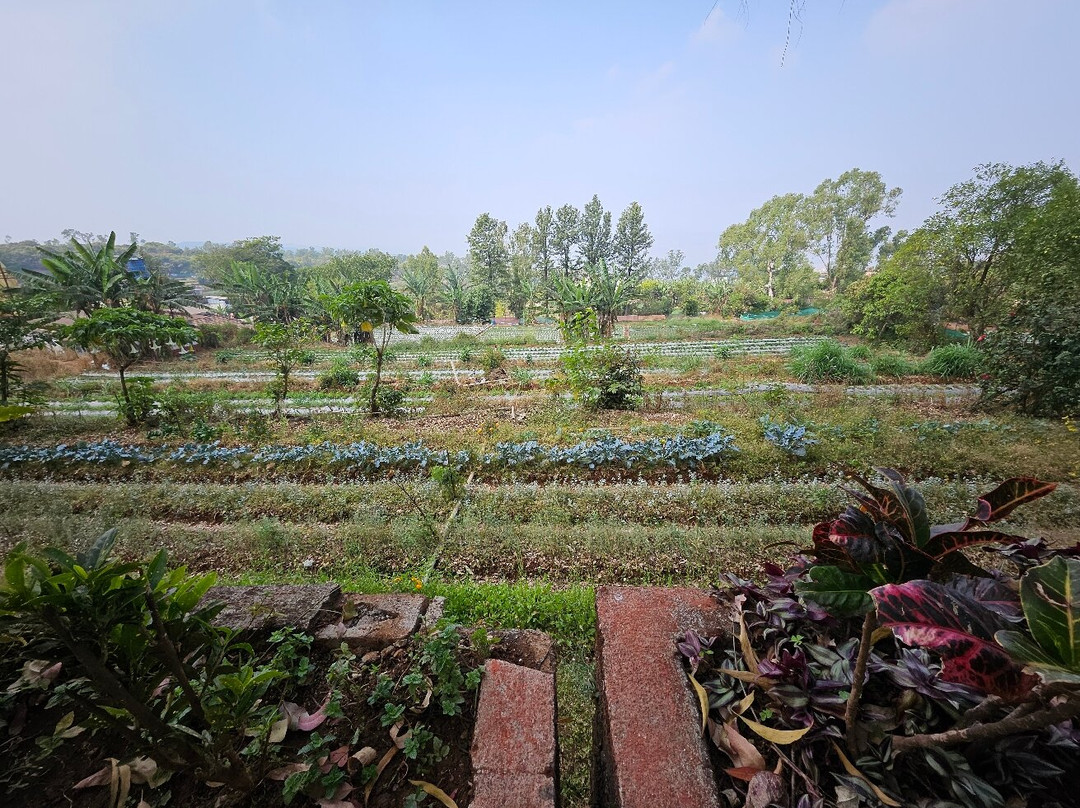 Mapro Garden-马哈巴勒什瓦必去景点