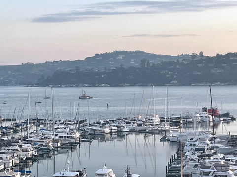 野草莓Spa酒店主图