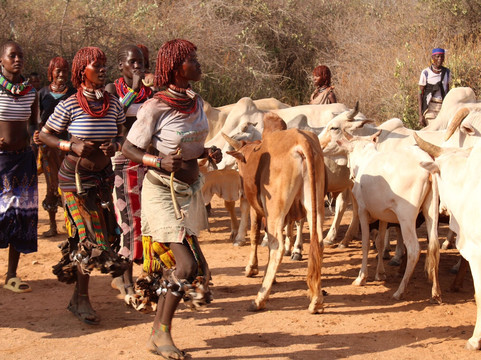 Turmi Hamer Tours-Turmi必去景点