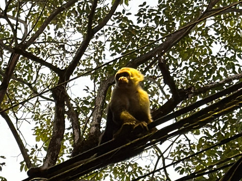 Pacific Trade Winds-Nuevo Arenal必去景点
