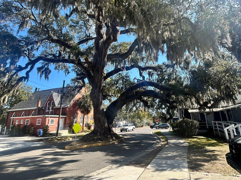 Fernandina Beach Historic District-阿米莉亚岛必去景点