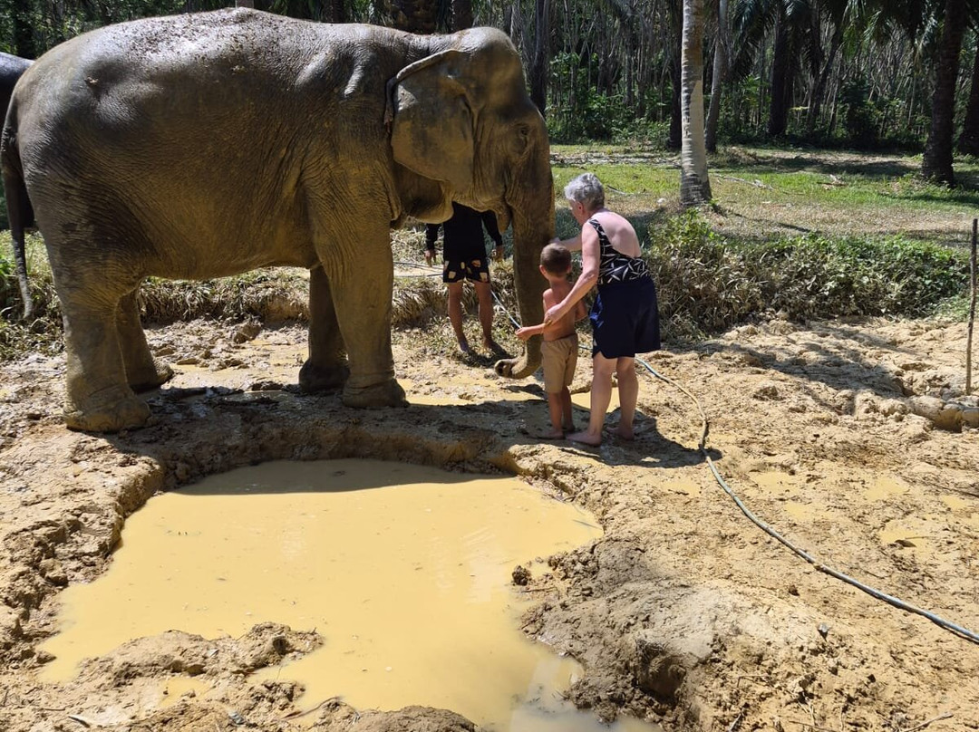 Lanta Elephant Sanctuary-兰塔岛必去景点