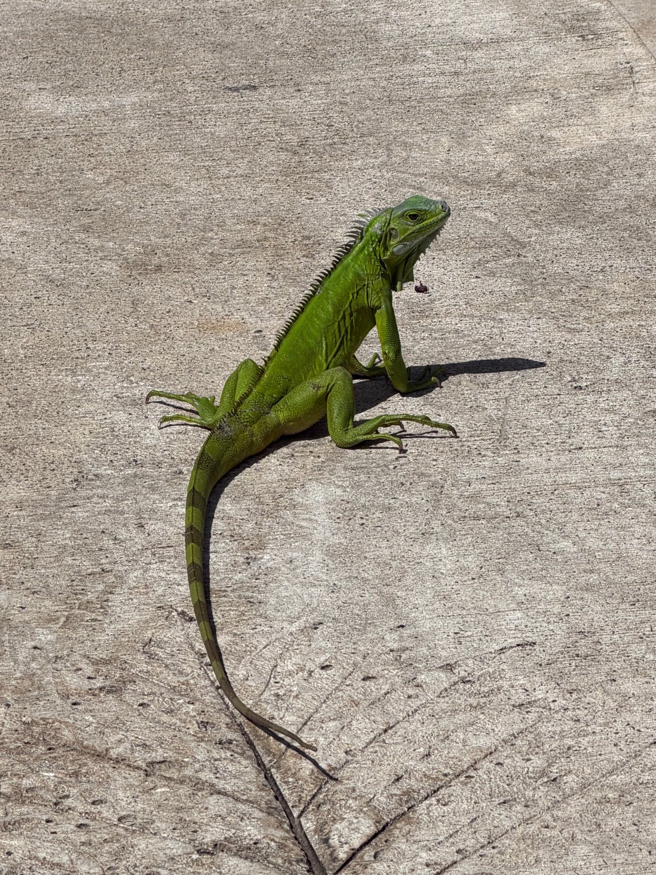 桑德尔斯格瑞那达酒店 - 全包式 - 仅供夫妻情侣入住-浴室