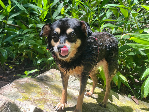 Central Sul Raft-Tres Coroas必去景点