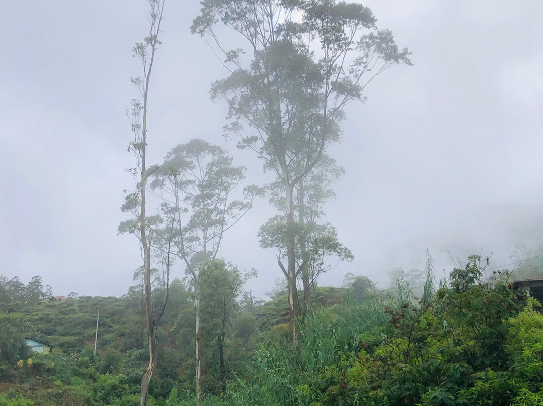 Mandaram Nuwara-Mandaramnuwara必去景点