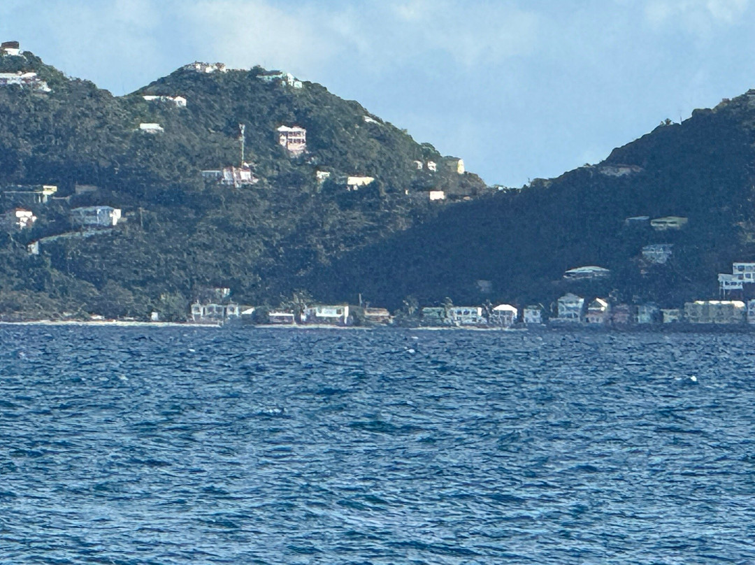 Ocean Dreams Water Taxi-Red Hook必去景点