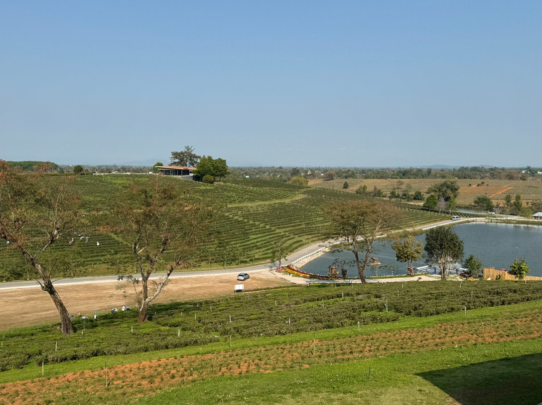 Choui Fong Tea-Pa Sang必去景点