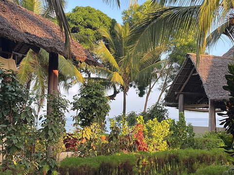 Mafia Island Diving-马菲亚岛必去景点