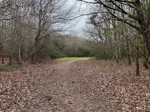 Nightingale Woods-斯温顿必去景点