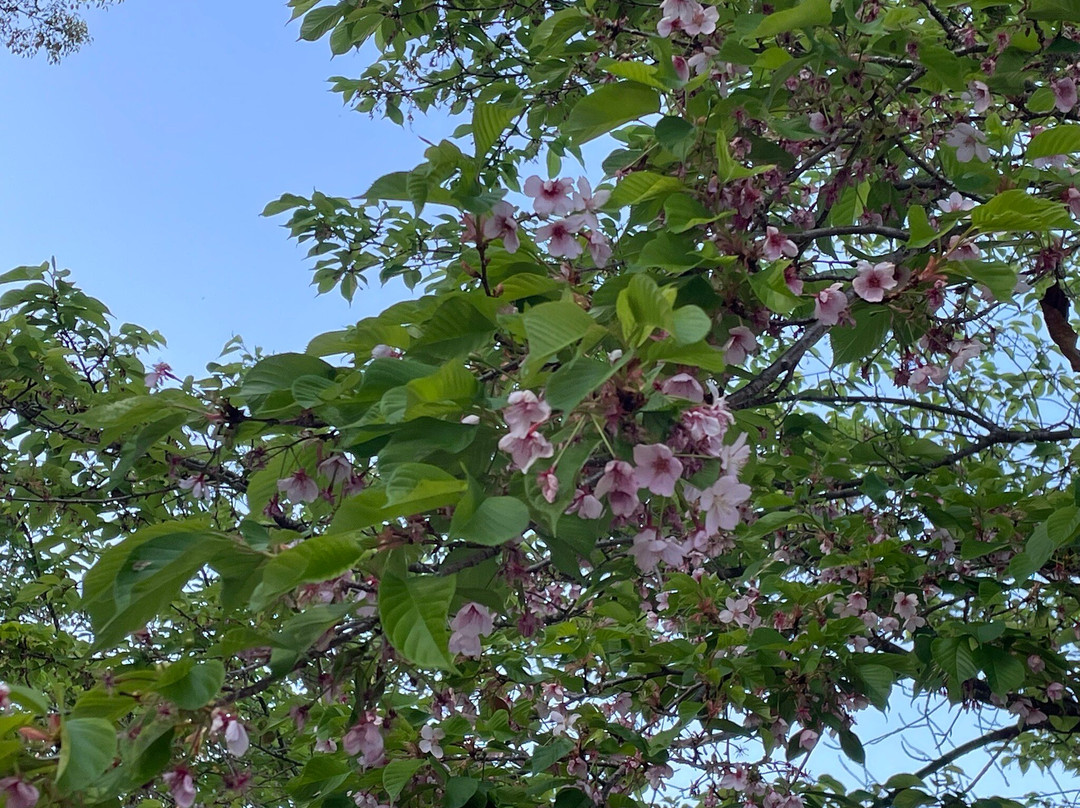 Matsuo no Maru-日南市必去景点