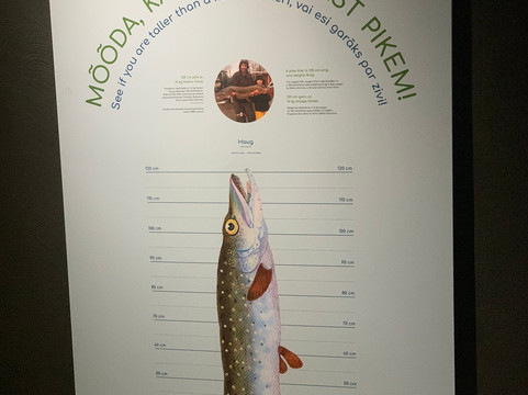 Ice Age Centre-塔尔图必去景点