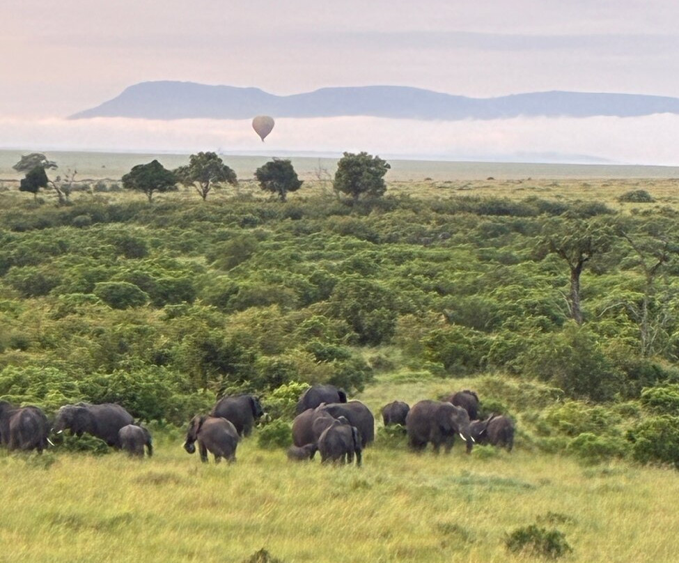 Hot Air Safaris-马赛马拉国家野生动物保护区必去景点