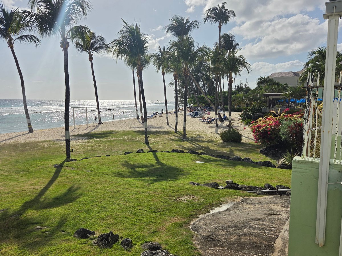 椰子园海滩酒店-泳池