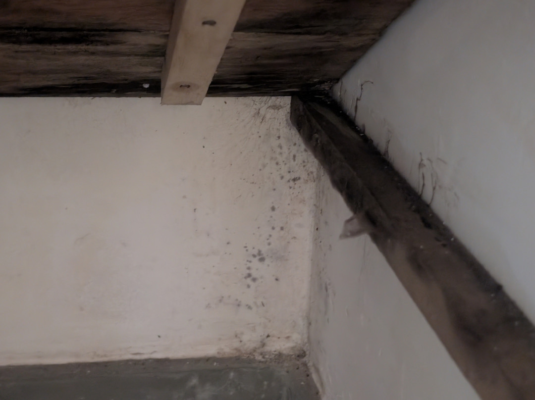 加勒丛林阁楼主图