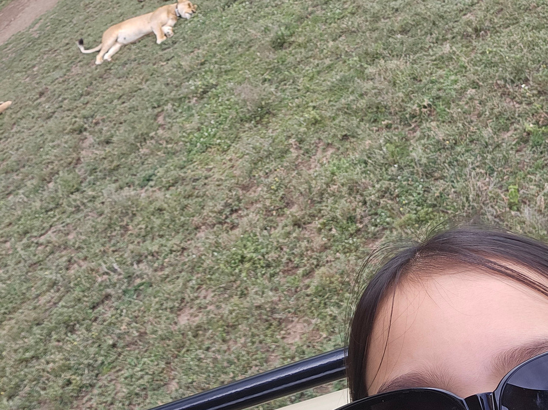 Earthlife Expeditions-阿鲁沙必去景点