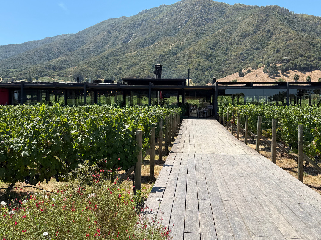 Venture Experiences-纳塔莱斯港必去景点