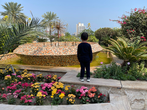 维达基什酒店主图