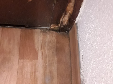 加莱康铂饭店主图